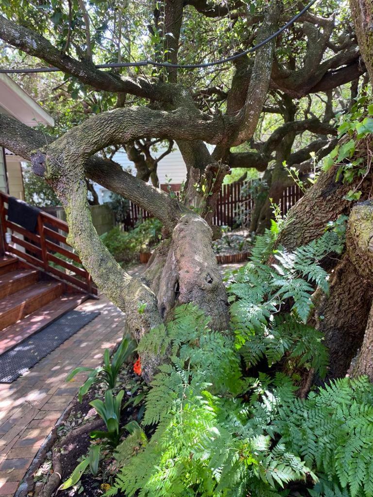 Melkboom Villa Franskraalstrand Buitenkant foto